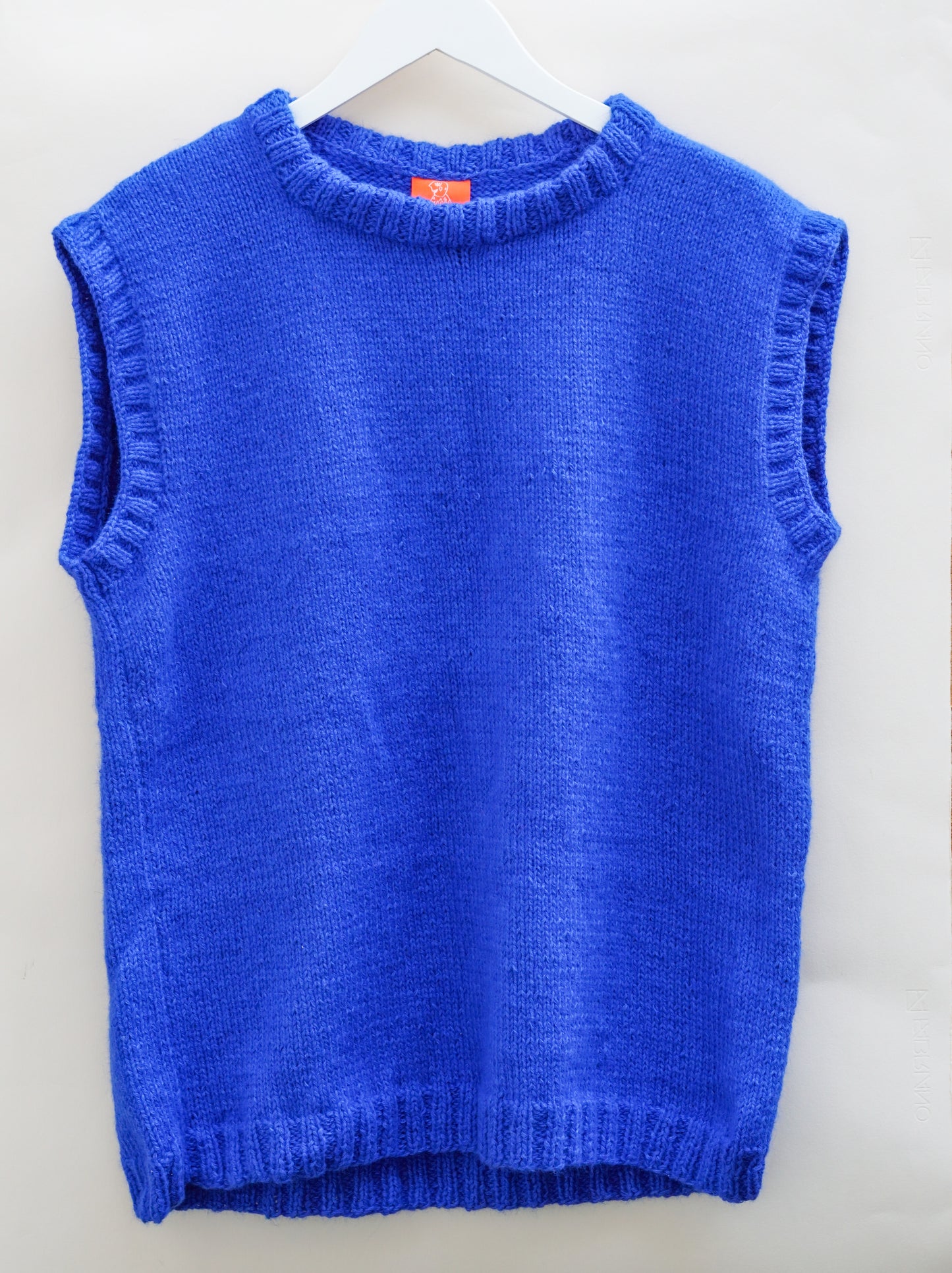 Blue Vest